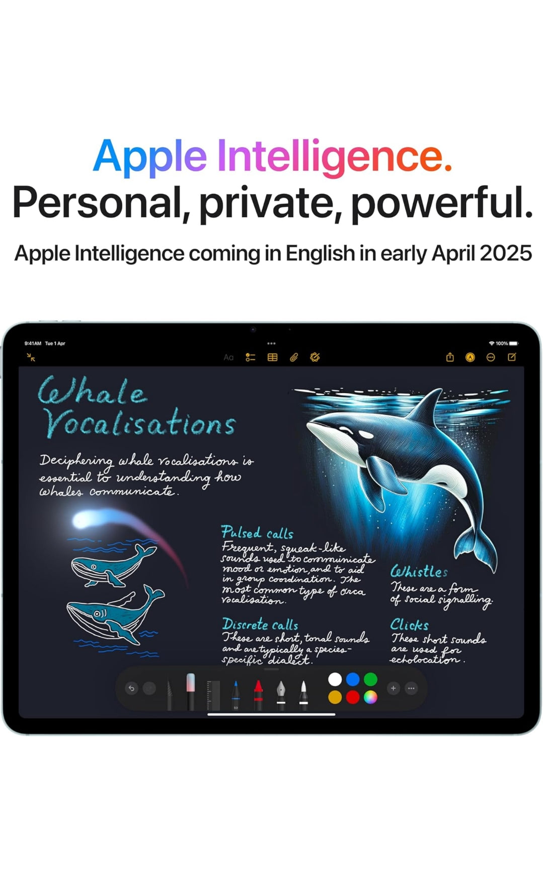 Apple iPad Air 13″ with M3 chip: Built for Apple Intelligence, Liquid Retina Display, 1TB, 12MP Front/Back Camera, Wi-Fi 6E + 5G Cellular, Touch ID, All-Day Battery Life — Space Gray